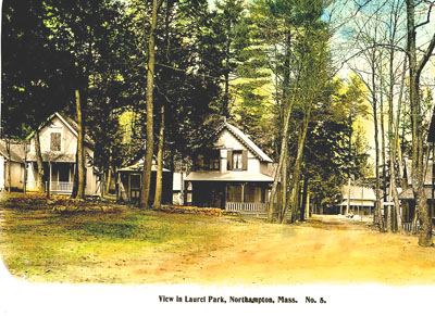 Cottage in forest
